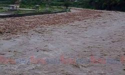 तनहुँमा खोलाले बगाएका ६ जनाको उद्धार