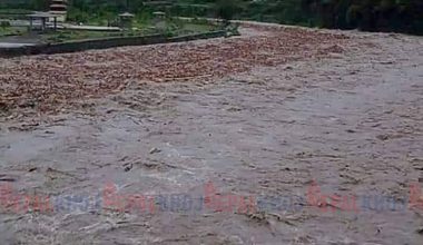 तनहुँमा खोलाले बगाएका ६ जनाको उद्धार
