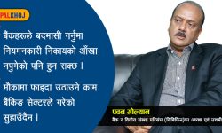 ‘नेपालमा कर्पोरेट कल्चर बैंक तथा वित्तीय संस्थाले ल्यायो’