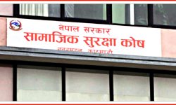 सामाजिक सुरक्षा योजनामा साढे २ लाख बढी योगदानकर्ता सूचीकृत