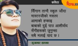 सिँगान र राजनीति