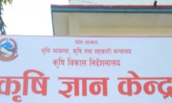 बझाङ्गे मकै, आलु र सिमीको स्वाद लिन आतुर हुनुहुन्छ ?