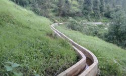 चितवनको १४ सय हेक्टर जग्गामा बाह्रै महिना सिँचाइ