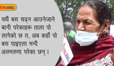 एकान्त घरझैं उजाड बन्यो बसपार्क, यात्रु र गाडी चालकलाई सास्ती (भिडियो रिपोर्ट)