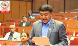 ‘सरकारको कामको विरोध वा समर्थनमा अभिव्यक्ति दिन पाइन्छ तर कस्मेटिक राजनीति नगराैं’