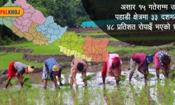 ‘समयमै मल पुर्‍याए यस वर्ष धान उत्पादन राम्रो’