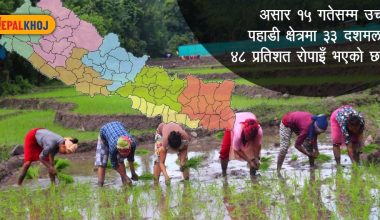 ‘समयमै मल पुर्‍याए यस वर्ष धान उत्पादन राम्रो’