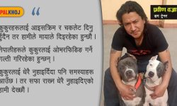 हामीले कुकुर पाल्न जानेकै छैनौं ! (भिडियो रिपोर्ट)