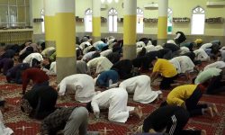 अल्लाहको प्रार्थनासँगै बकर इद ! (भिडियो रिपोर्ट)