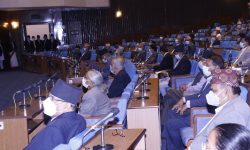 प्रतिनिधिसभामा १५ वटा अध्यादेश पेस