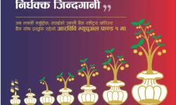 आरबीबी म्युचुअल फन्ड भोलिदेखि बिक्री खुल्ने