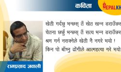 आत्महत्या गरे भयो !