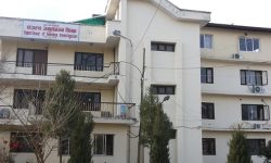 ९ करोड २७ लाख बिगोसहित शिवशक्ति खाद्य उद्योगविरुद्ध मुद्दा दर्ता