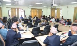 विपत् व्यवस्थापनको कार्यलाई तीनै तहका सरकारको समन्वयमा अघि बढाउन सुशासन समितिको निर्देशन