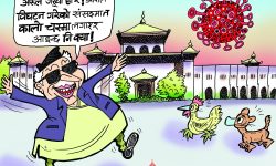 घोचपेच !