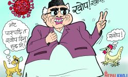 घोचपेच !