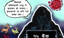 घोचपेच !