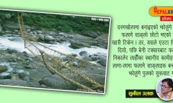 पार्चेको बाबियाको पुल