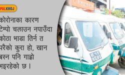 पलायन हुँदै टेम्पो चालक, भन्छन्- काम छैन, माम पनि छैन