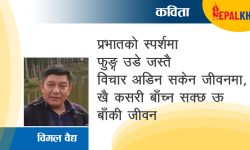 विचारको रंग