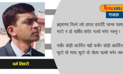 एउटा गजल !