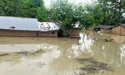 अविरल वर्षाका कारण आएको बाढीबाट हुप्सेकोटका १५० घर डुबानमा