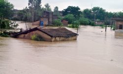 उदयपुरका ५ सय घर डुबानमा : बाढीले बगाउँदा एकको मृत्यु