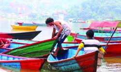 फेवातालमा पानीको सतह बढेपछि डुंगा निकाल्दै चालक (फोटो फिचर)