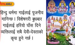 बुधबार के-के गल्ती नगर्ने ?