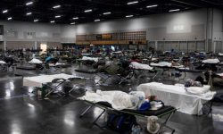 क्यानाडाको तापक्रम अहिलेसम्मकै उच्च, गर्मीका कारणबाट २३० जनाको मृत्यु