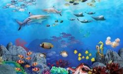 जलचरको अस्तित्व संकटमा