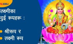 लक्ष्मी मातालाई सम्झँदै शुक्रबार के गर्ने !