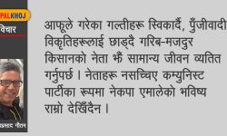 एमालेमा खबरदारी जरुरी !