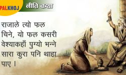 प्रेम, घृणा र विरक्तिको एउटा नीति कथा !