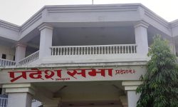 प्रदेश २ मा जसपाका ११ जना सांसदले गराए लोसपामा सनाखत