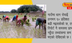 ‘समयमै मल पाए धान उत्पादन १० देखि १२ प्रतिशत बढ्छ’