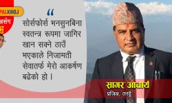 ‘नियम-कानुन छाड्दैनौं, राजनीतिक दबाबले कार्यसम्पादनमा अप्ठ्यारो परेको छैन’