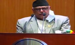 विपक्षीले संविधानको मर्मविपरीत निर्दलीयताको वकालत गरे : प्याकुरेल