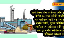 डेढ खर्ब लगानीका उद्योग दर्ता, विदेशी लगानी प्रतिबद्धता घट्यो