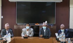 संविधानअनुसार समाजवादउन्मुख अर्थतन्त्र निर्माणको कार्यलाई ध्यान दिऔं’