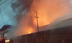 नेबिकोमा लागेको आगो नियन्त्रणमा आउँदै