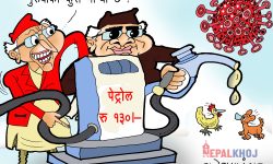 गाईजात्रा २०७८ विशेष !