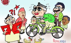 गाईजात्रा २०७८ विशेष !