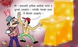 गाईजात्रा २०७८ विशेष !