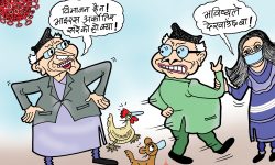 घोचपेच !