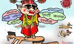 गाईजात्रा २०७८ विशेष !