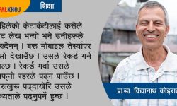 ‘प्रविधि विकल्प होइन, सहायक हो’