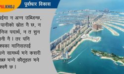 २ सय देशका मानिस अटाउने दुबई, यसरी सम्भव भयो विकास !