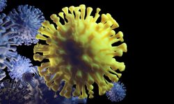 चौबीस घण्टामा ५५७ संक्रमित थपिए, ८७७ जना डिस्चार्ज