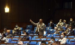 प्रतिपक्षी दलका नेताले उठाएको प्रश्नको जवाफ दिन सांसद् थापाको आग्रह